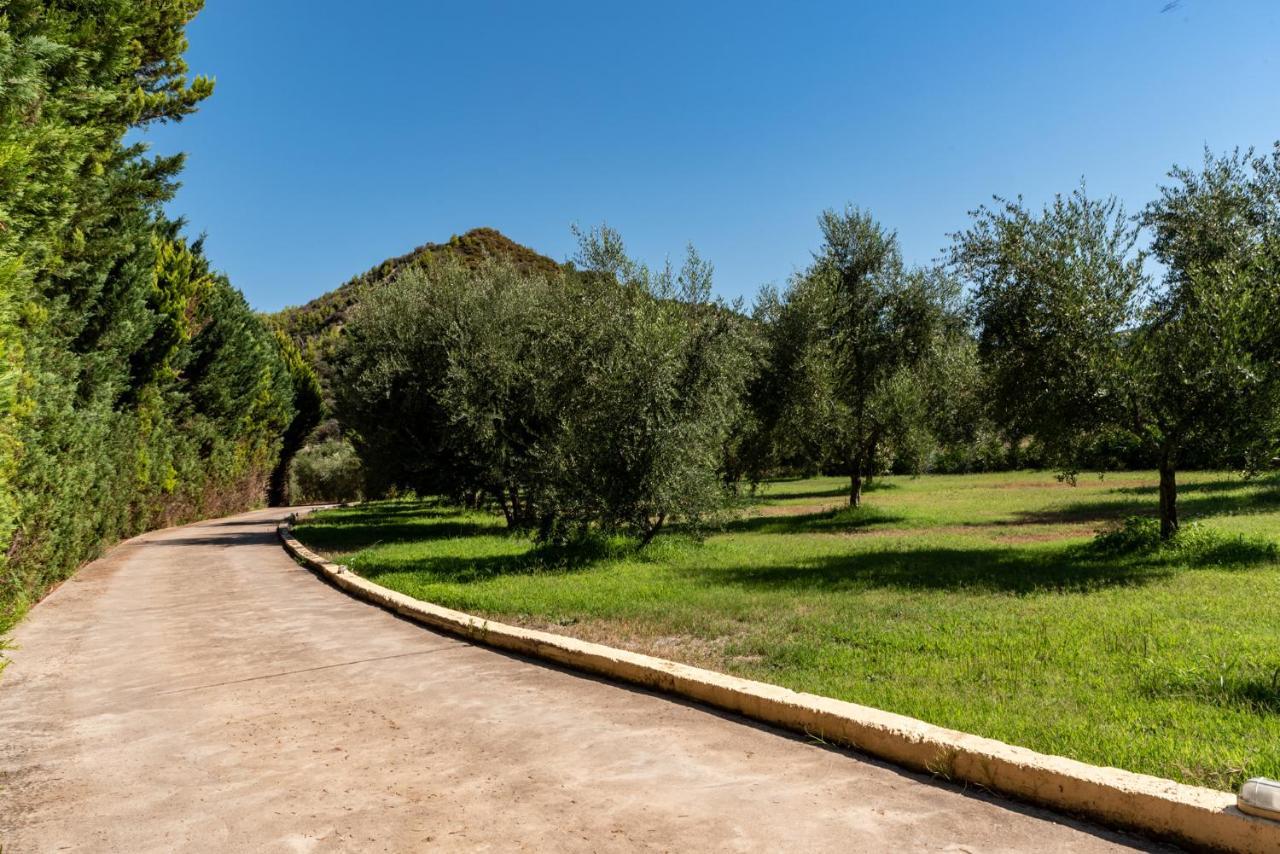 Anilio Plaza Aparthotel Zacharo Bagian luar foto